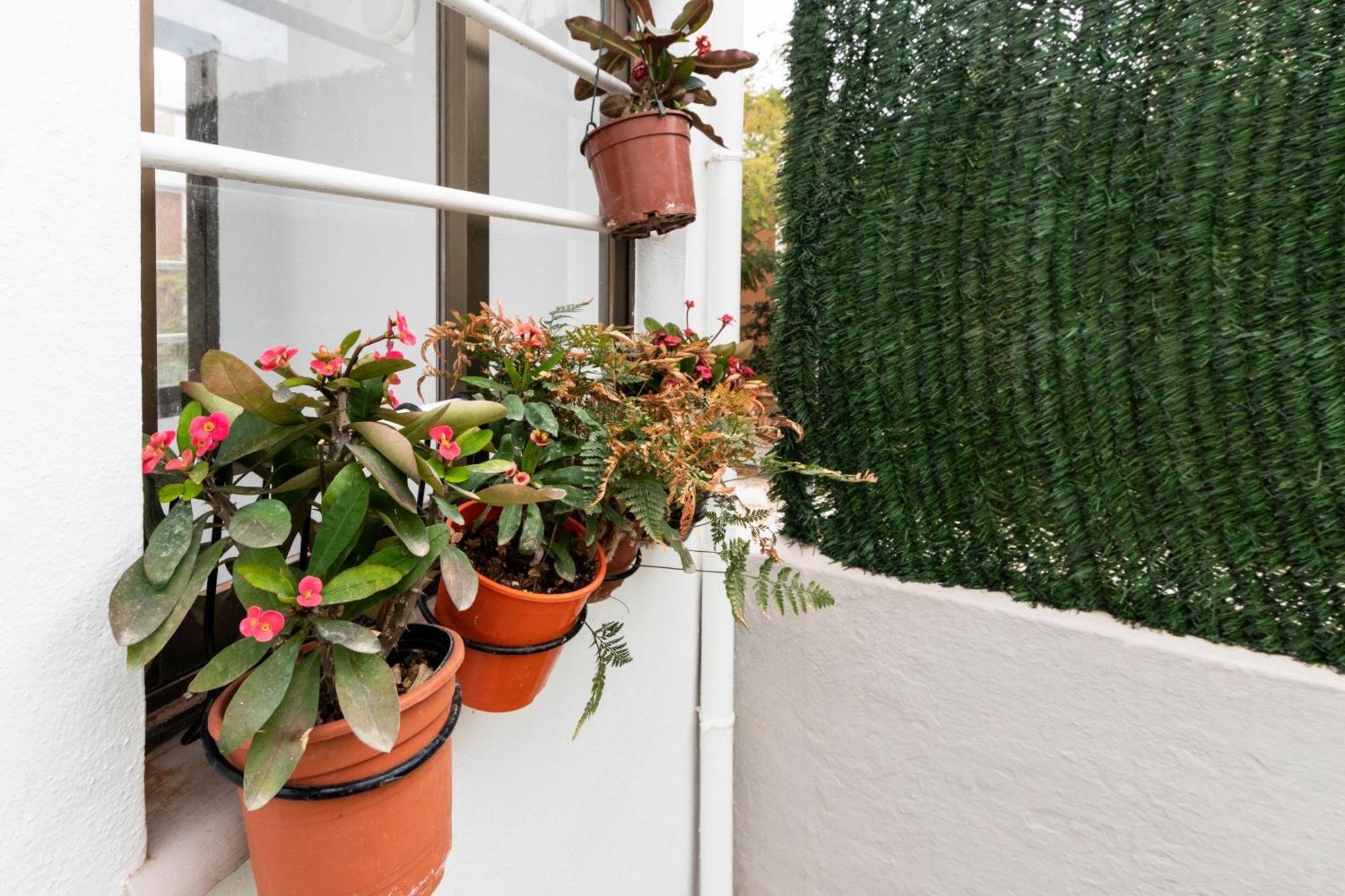 Little House In Center Apartment Almeria Luaran gambar